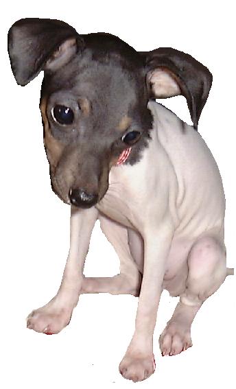 �����@3����